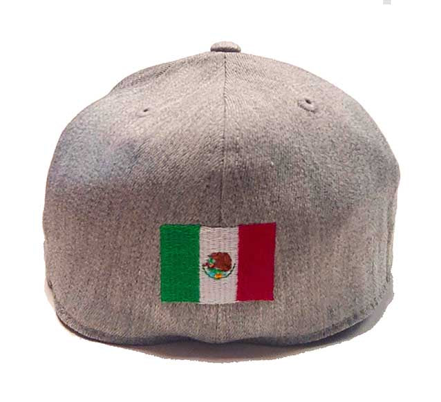 Houston Texans Cap with Mexican flag on the back